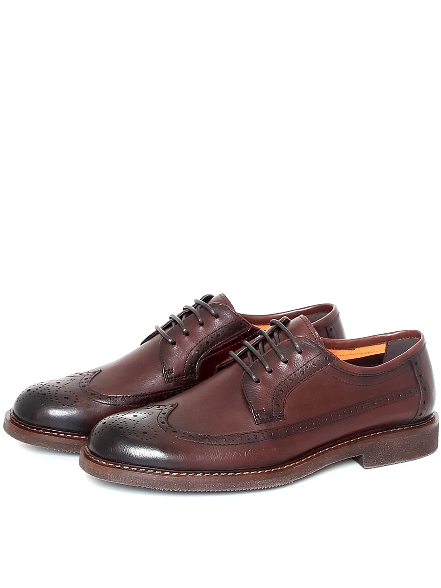 туфли мужские  Basconi, арт 312017B-YP