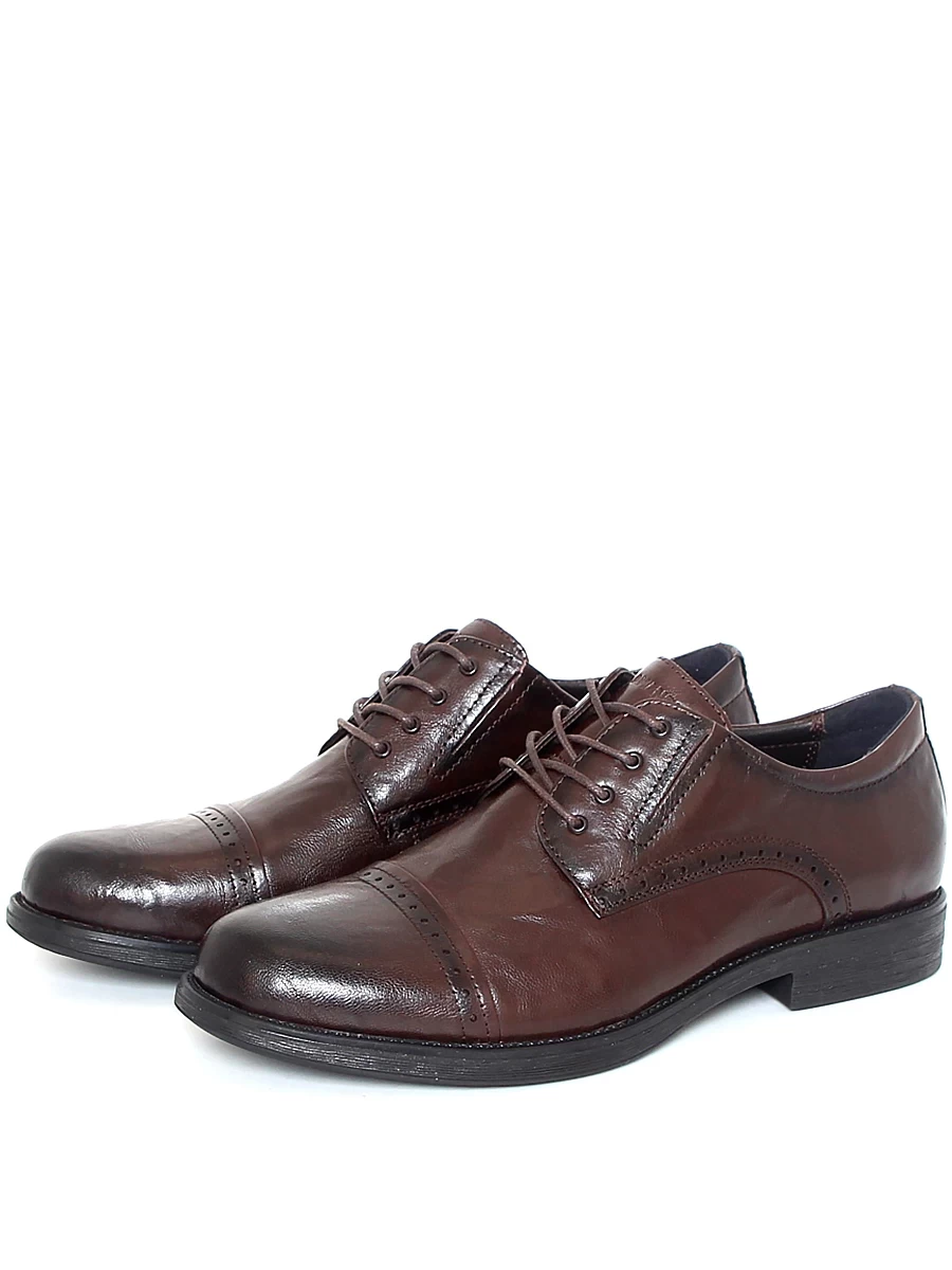 туфли мужские  Salamander, арт 104-390A-1109